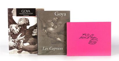 null [GOYA]
DHAINAULT Jean-Pierre - Goya, les caprices - Paris Les éditions de l'amateur...