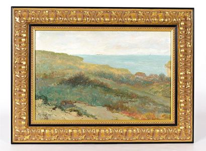 null BAROTTE Léon (1866-1933)
Paysage de côte
Huile sur carton 
Signée en bas à gauche
36...