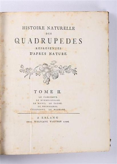 null ANONYME - Histoire naturelle des quadrupedes représentés d'après nature Tome...