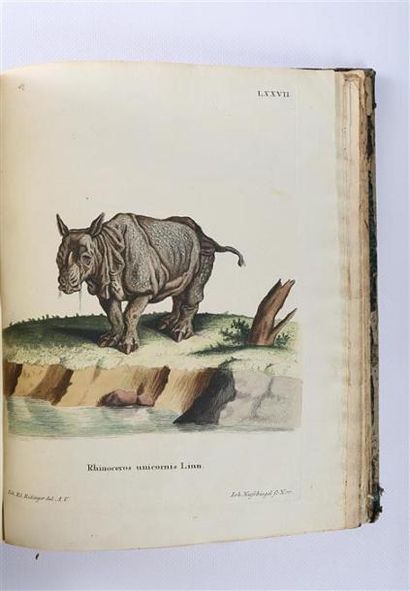 null ANONYME - Histoire naturelle des quadrupedes représentés d'après nature Tome...