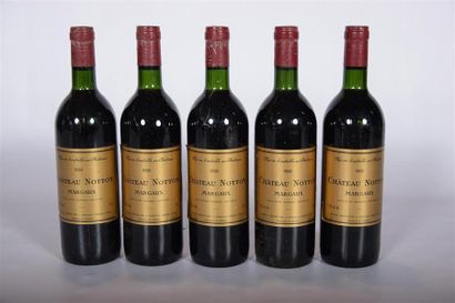 null 5 Blles	CH. NOTTON	Margaux	1986
	Et. bonnes. N : bas goulot/limite haut épa...