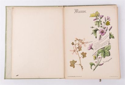 null COLLECTIF - Herbier du journal des Demoiselles, plantes de l'été. Fleurs des...