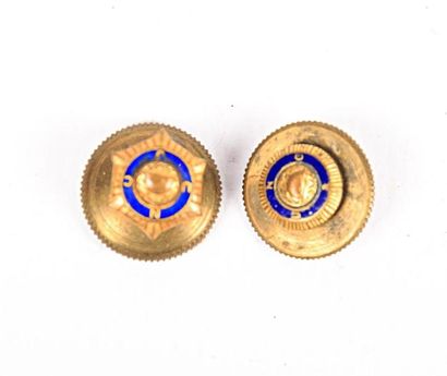 null Deux insignes militaire en métal doré et émail bleu Union Nationale des combattants,...