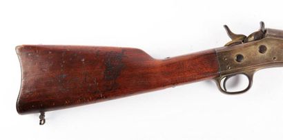 null Carabine de selle réglementaire dans la cavalerie américaine modèle Remington...