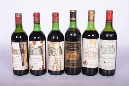 null Lot de 6 blles comprenant :		
2 Blles	CH. MONTAGNE	Bordeaux Sup.	1983
1 Blle	CH....