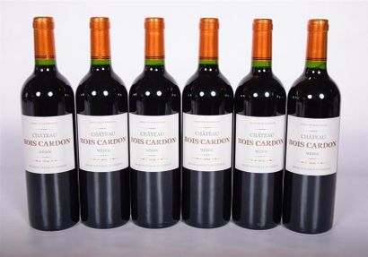 null 6 Blles	CH. BOIS CARDON	Médoc	2014
	Présentation et niveaux impeccables. Carton...