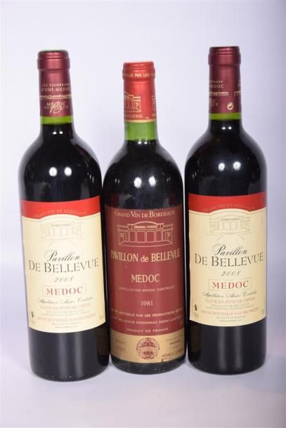 null 3 Blles	PAVILLON DE BELLEVUE	Médoc mise Coop.	
	2 blles de 2008 et 1 blle de...