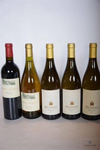 null Lot de 5 blles comprenant :		
1 Blle	VDP du Lot rouge mise Domaine Belmont		2003
1...