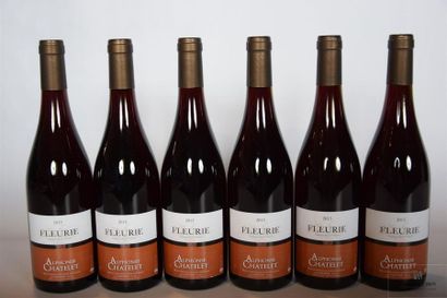 null 6 Blles	FLEURIE mise A. Chatelet nég.		2015
	Présentation et niveau impeccables....