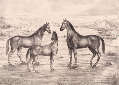 null DAUTRY Marc (né en 1930), d'après
Les trois chevaux
Lithographie 
Signée, titrée...