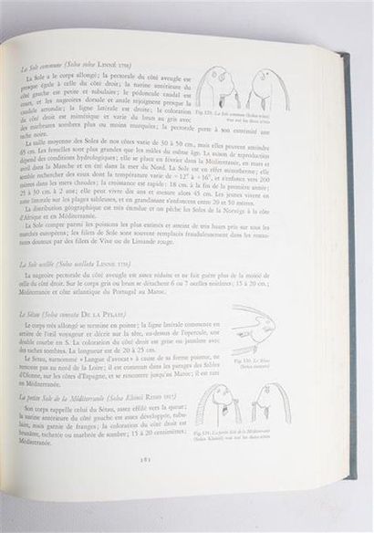 null COLLECTIF - Le grand livre de la mer et des poissons - Monaco, Paris, Bruxelles,...