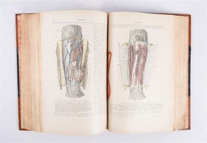 null TESTUT L. et JACOB O. - Traité d'anatomie topographique avec applications médico-chirurgicales...