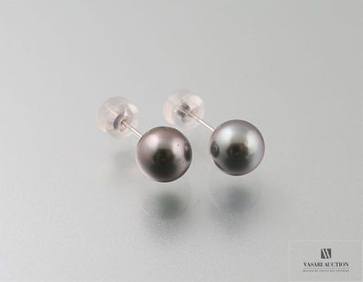 null Puces d'oreilles en or gris, 750/°°, ornées chacune d'une perle ronde de Tahit...