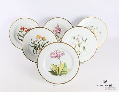 null LIMOGES - Alberto Pinto
Neuf assiettes de présentation modèle "Botanic" en porcelaine...