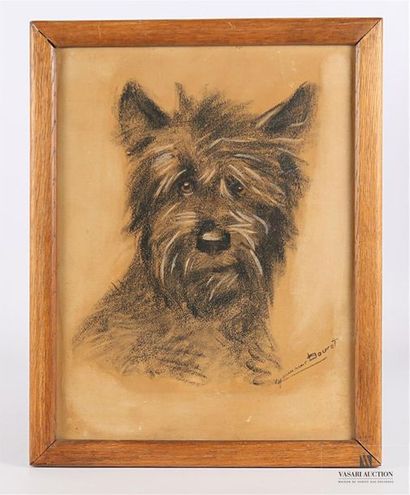 null BOURET Germaine (1905-1953) d'après
Scottish terrier
reproduction 
32 x 24 cm...
