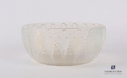 null LALIQUE René (1860-1945)
Coupe dite " Perruches " en verre opalescent moulé...