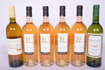 null Lot de 6 blles comprenant :		
1 Blle	VDP des Côtes de Gascogne blanc mise Dom....