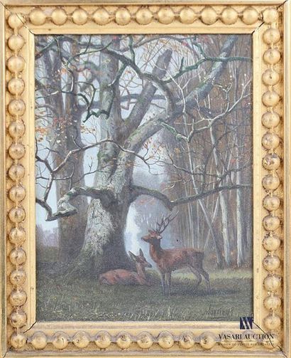null KUYTENBROUWER Martinus (1821-1897)
Cerf et biche dans un sous bois
Huile sur...