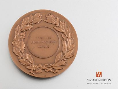 null Offert par Pierre Mazeaud député - Médaille bronze, 49 mm, tirage 1970, tranche...