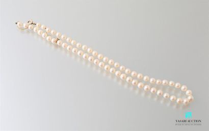 null Collier de perles de 3mm, le fermoir en or jaune 
Long. : 43 cm 