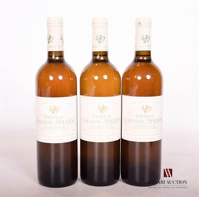 null 3 bouteilles	CHÂTEAU CHASSE SPLEEN	Bordeaux Blanc	2007
	Présentation et niveau,...
