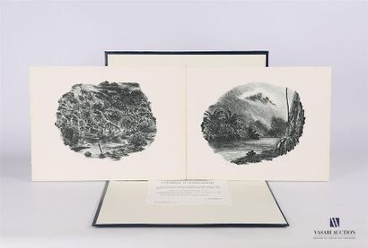 null MALBREIL François (né en 1953)
Deux paysages tropicaux
Deux lithographies
Annotées...