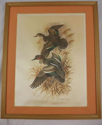 null BERILLE Francis (1945).
Canards et perdrix en vol 
Deux procédés sur soie, encadrés.
25cm...