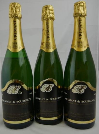 null Lot comprenant:

3 bouteilles CREMENT DE BOURGOGNE BRUT, Domaine BOUCHEZ CRETAL
Etiquettes...