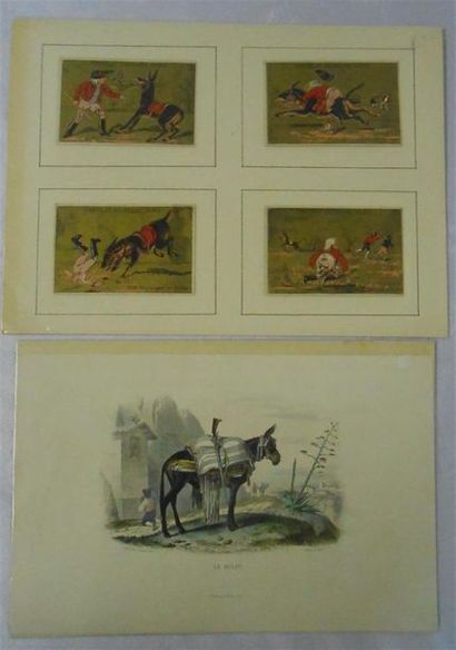 null LES ANIMAUX - Domestiques et de Ferme : Ensemble de 7 Planches Couleurs, (V....