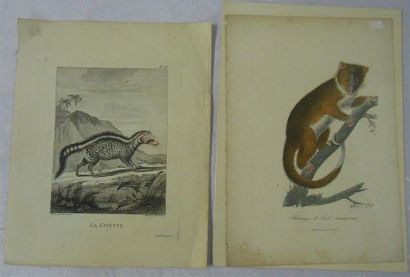 null LES ANIMAUX - Divers : Ensemble de 16 Planches Couleurs, (V. & H.)
Dont" La...