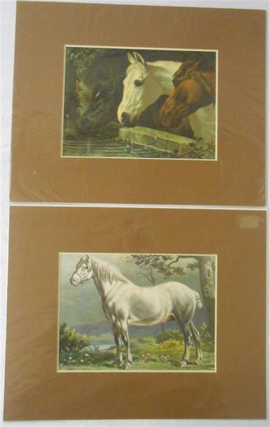 null LES CHEVAUX : Ensemble de 11 Planches Couleurs, (V. & H.)
Dont" Sauts, Chasse...