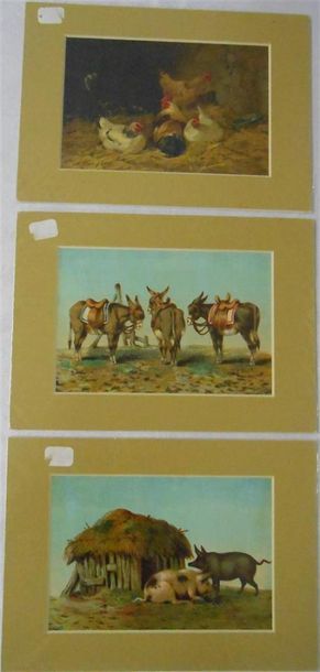 null LES ANIMAUX : Ensemble de 12 Planches Couleurs, (V. & H.)
Chiens, Poules et...