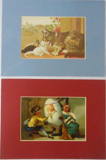 null LES ANIMAUX : Ensemble de 12 Planches Couleurs, (V. & H.)
Chiens, Poules et...