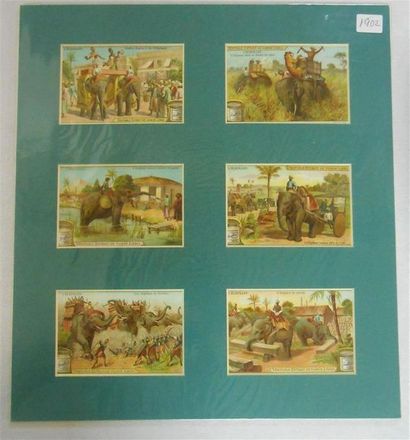 null LIEBIG - LES ELEPHANTS : Ensemble de 2 Séries de 6 Chromos, (H.).
L'Eléphant-1902...