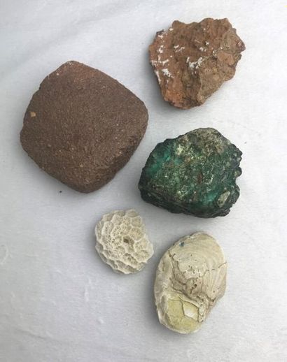 null Lot de minéraux comprenant géodes, pierre de lave, quartz... 
Différentes provenance...