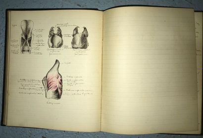 null Livre manuscrit sur l'anatomie et physiologie animales - Fonctions de relation
1992-1993
Enseignement...