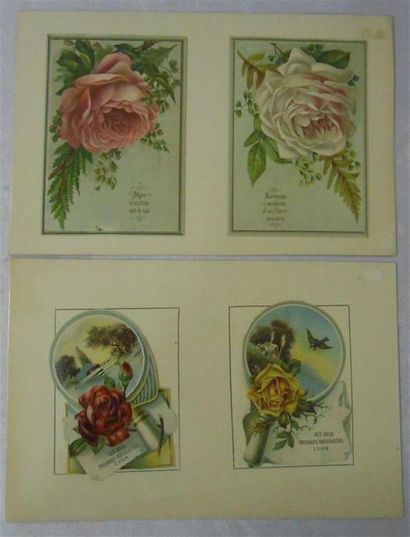 null LES FLEURS ET LES FRUITS : Ensemble de 18 Planches Couleurs, (V. & H.)
Dont"...