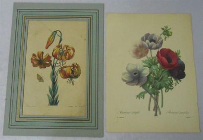 null LES FLEURS ET LES FRUITS : Ensemble de 18 Planches Couleurs, (V. & H.)
Dont"...