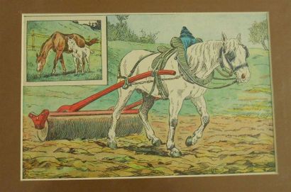 null LES CHEVAUX : Ensemble de 20 Planches Couleurs, (V.et H.).
Dont"Jeune Femme...