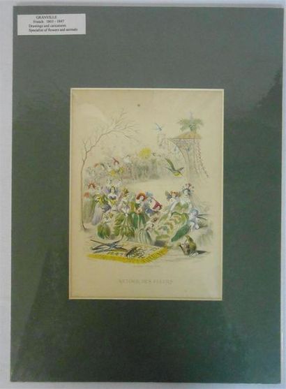 null GRANVILLE (1803-1847) : Ensemble de 11 Dessins et Caricatures couleurs. 
" Retour...
