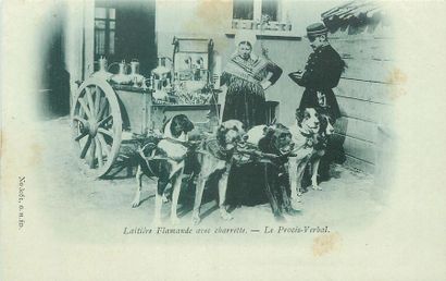 null 15 CARTES POSTALES LES ATTELAGES : Etrangers. Dont" Laitière FLamandes (dos...