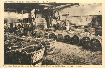 null 26 CARTES POSTALES ALCOOL : Majorité Champagne. Dont" Reims-Hôtel de Ville (carte...