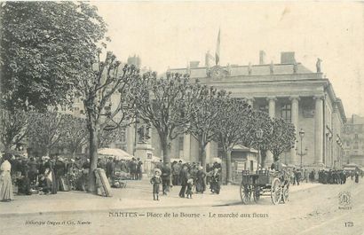 null 7 CARTES POSTALES LES MARCHES : Sélection Loire Atlantique. "La Baule : Avenue...