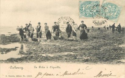 null 21 CARTES POSTALES VIE ET TRAVAIL A LA MER : Dans le Calvados. Dont" Cabourg-La...