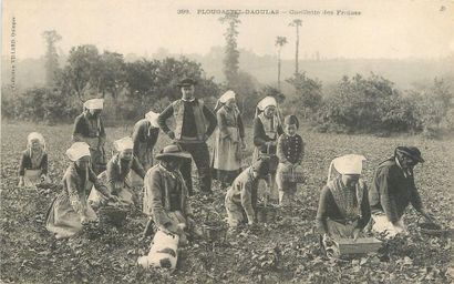 null 10 CARTES POSTALES METIERS : Bretagne - Alimentaires. "Beg Meil-La Récolte des...