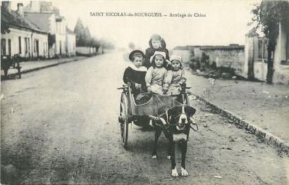 null 1 CARTE POSTALE ATTELAGE : A Chien - Sélection Indre et Loire. "Saint Nicolas...