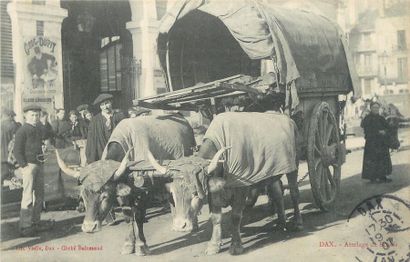 null 4 CARTES POSTALES ATTELAGES : Sélection Les Boeufs. "Ascain - Attelage basque...