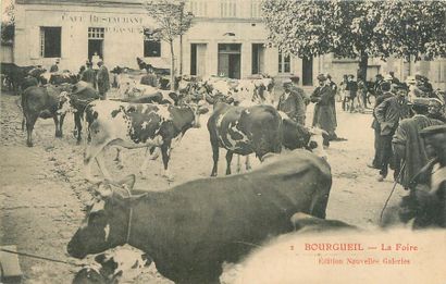 null 4 CARTES POSTALES LES MARCHES : Sélection Indre et Loire. "2 - Bourgueil - La...