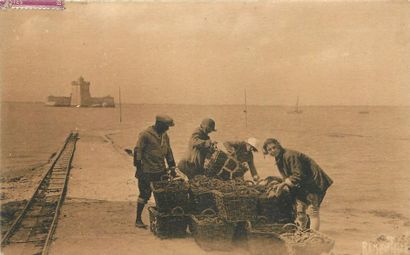 null 6 CARTES POSTALES CHARENTE MARITIME : Vie et Travail à la Mer. "Le Chapus-Groupe...