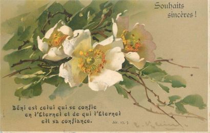 null 15 CARTES POSTALES ILLUSTRATEUR : Klein - Les Fleurs. "8cp-Les Roses, 3cp-Les...